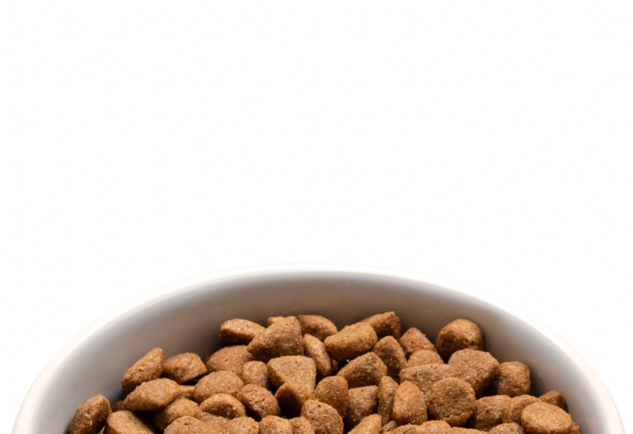 A bowl of kibble