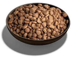 A bowl of kibble